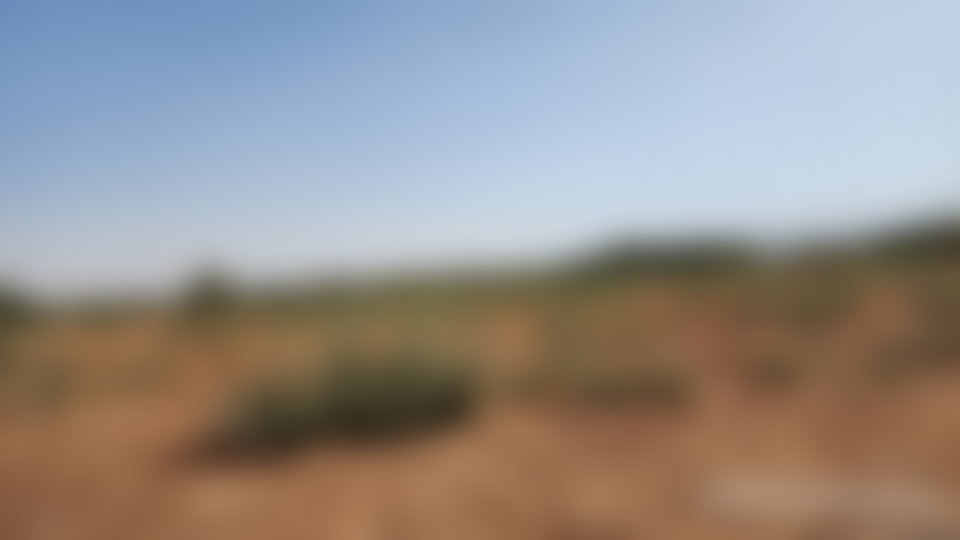 أرض شاسعة للمشاريع السياحية على طريق أوريكة بمراكش