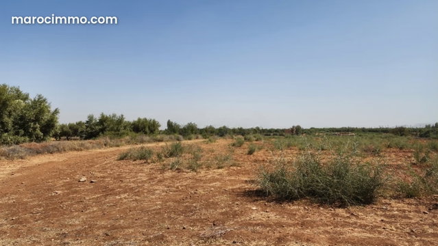 À vendre Terrain sur a route d'ourika — 3