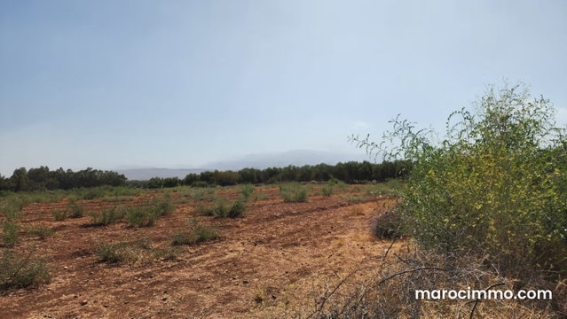 À vendre Terrain sur a route d'ourika — 5