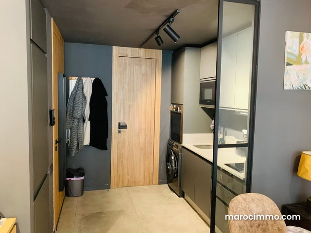 Beautiful Furnished Studio with Terrace in Gauthier — 3