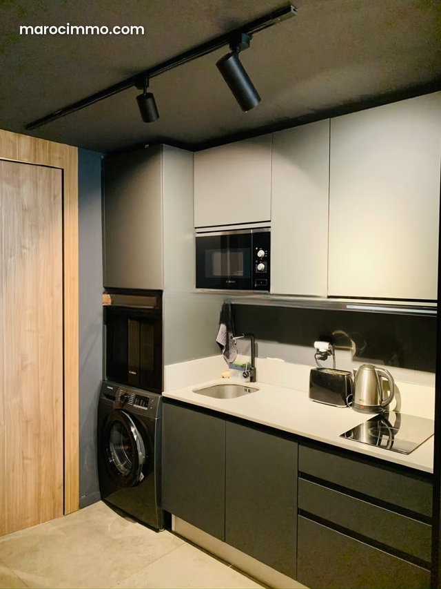 Beautiful Furnished Studio with Terrace in Gauthier — 4