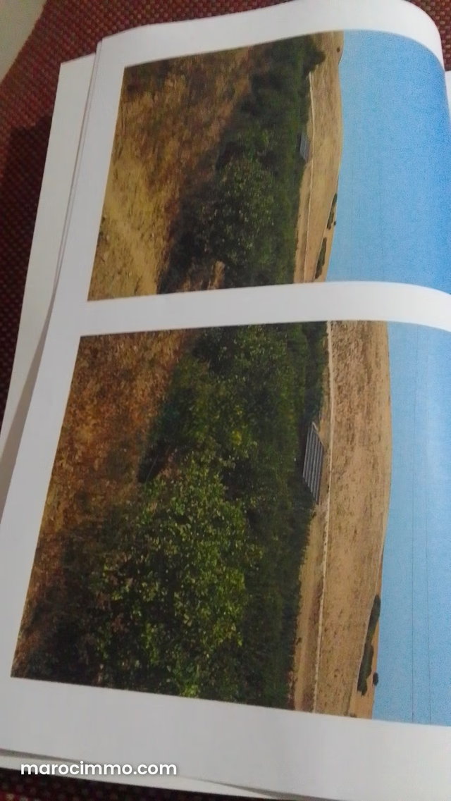 Charming Farm for Sale in Tifelt. 980,000 m² Surface — 3