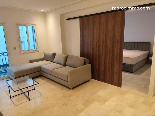 Appartement à louer à Racine Extension. 2 pièces. Bien meublé — 3