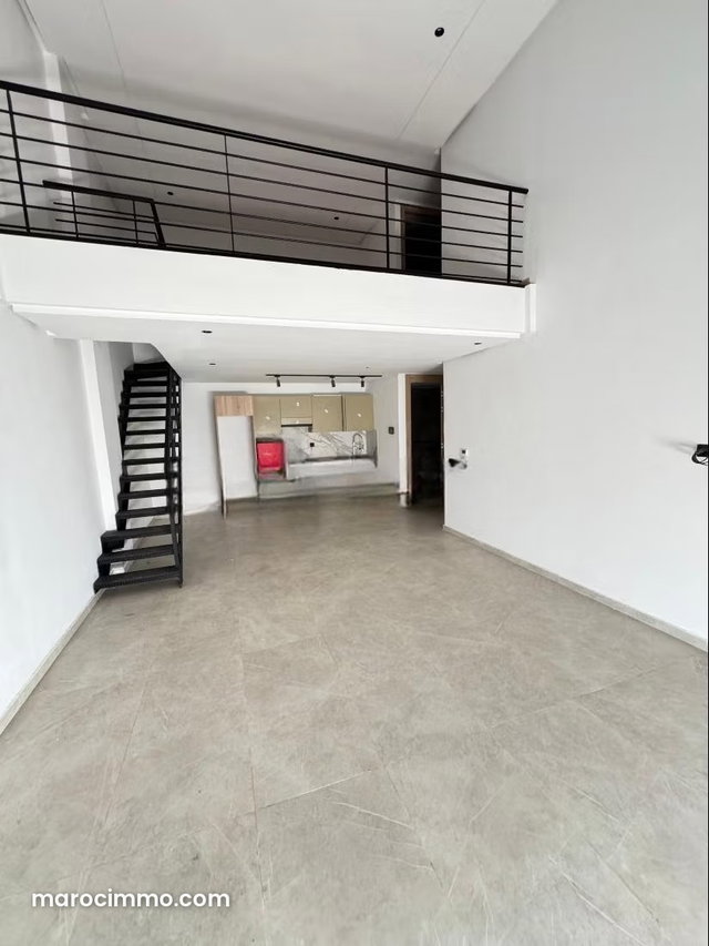 Luxury Duplex for Sale — 3