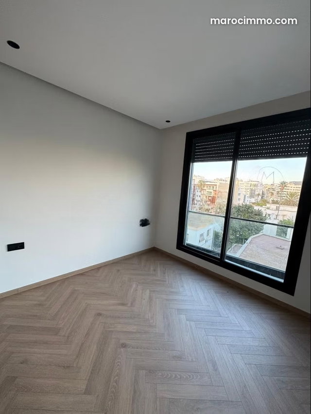 Studio premium à saisir — 4