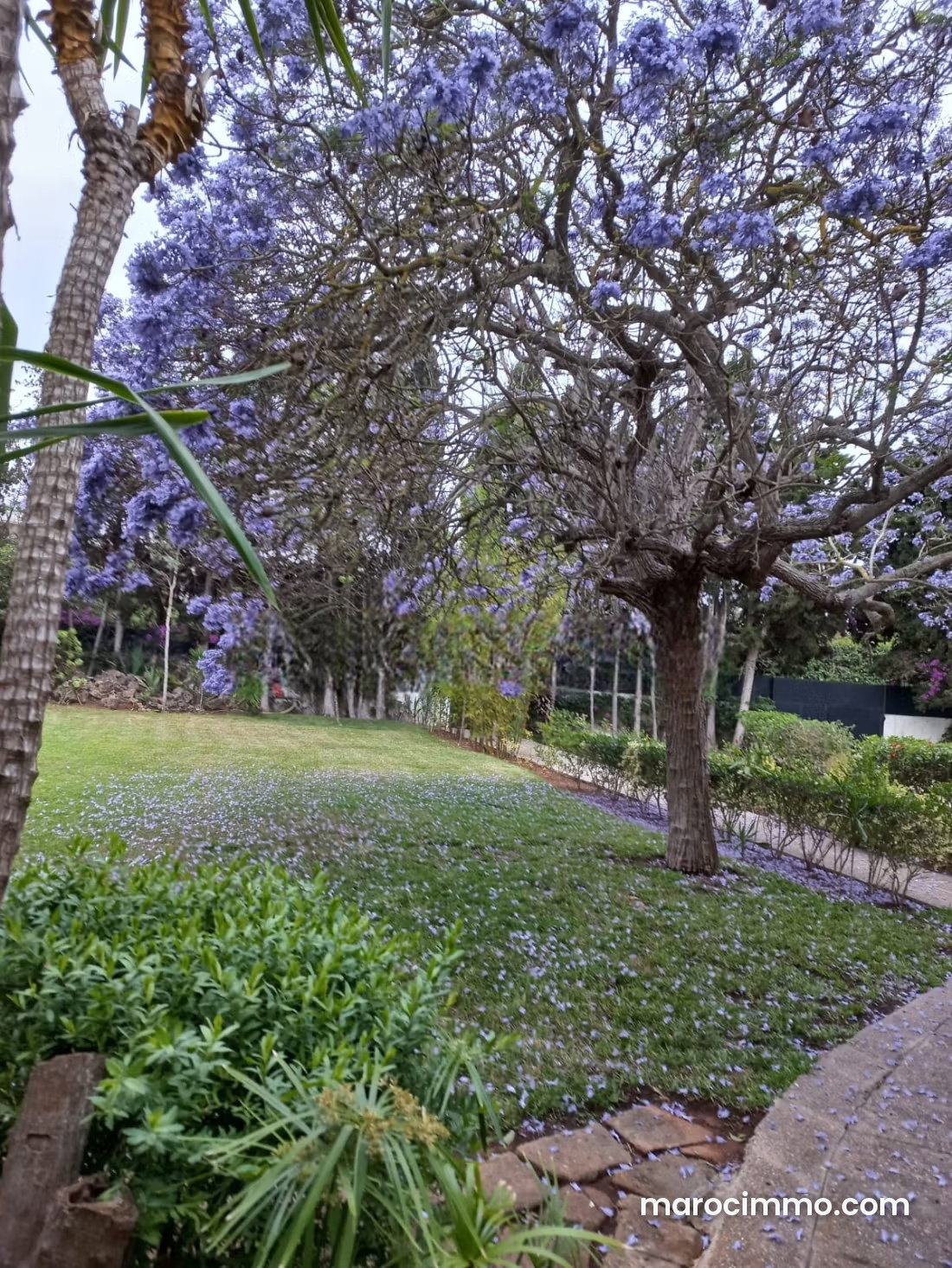 13,000 m² Plot with Villa in Souissi, Rabat — Rabat