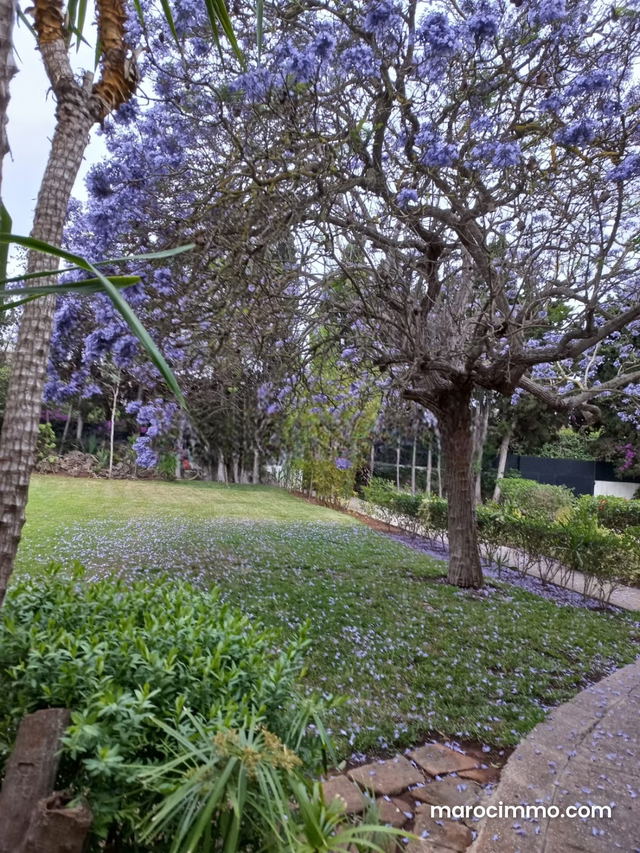 Land for Sale in Souissi — Rabat