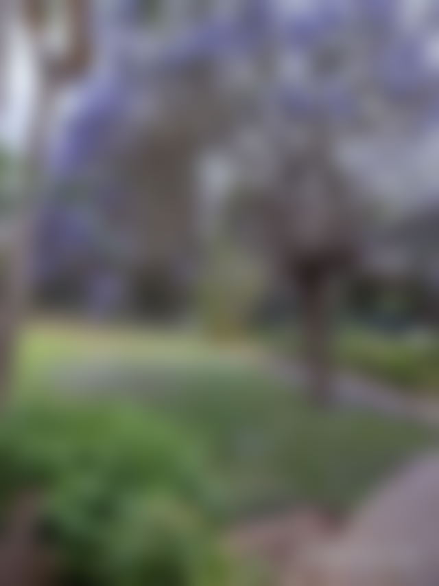 13,000 m² Plot with Villa in Souissi, Rabat — Rabat