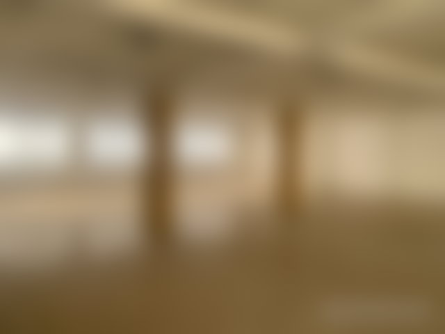 450 m² Office, La Gironde, Casablanca, Flexible Floorplate — 4