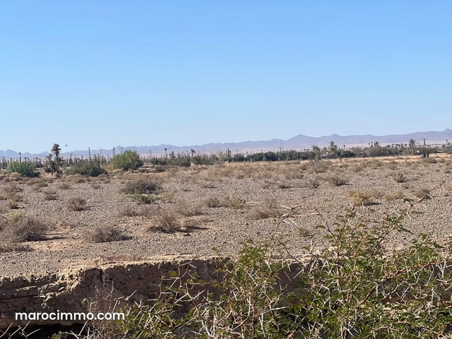 Terrain en vente à Route de Fez. Surface de 20000 m² — 2