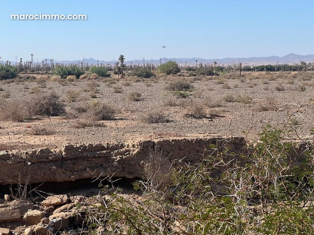 Terrain en vente à Route de Fez. Surface de 20000 m² — 5