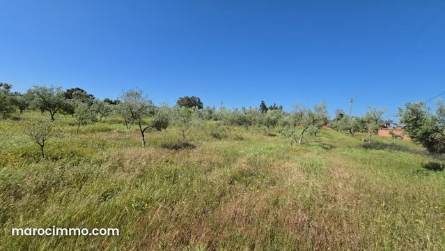 Ferme à vendre Allal El Bahraoui — 5