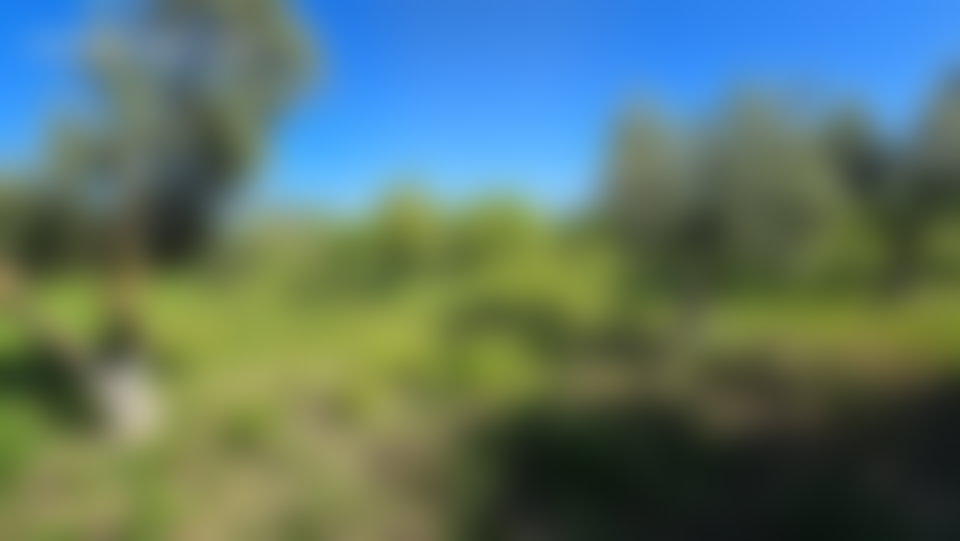 ضيعة فلاحية شاسعة للبيع بسيدي علال البحراوي