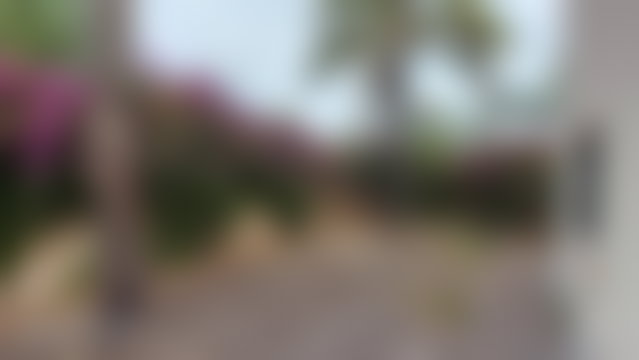 Villa 725 m² sur 728 m² de terrain à Polo, Casablanca — 3