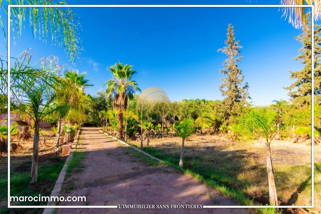 Villa for Sale — Titré – Ourika Road km 31, Marrakech — 4