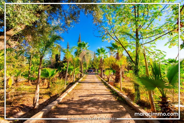 Villa for Sale — Titré – Ourika Road km 31, Marrakech — 3