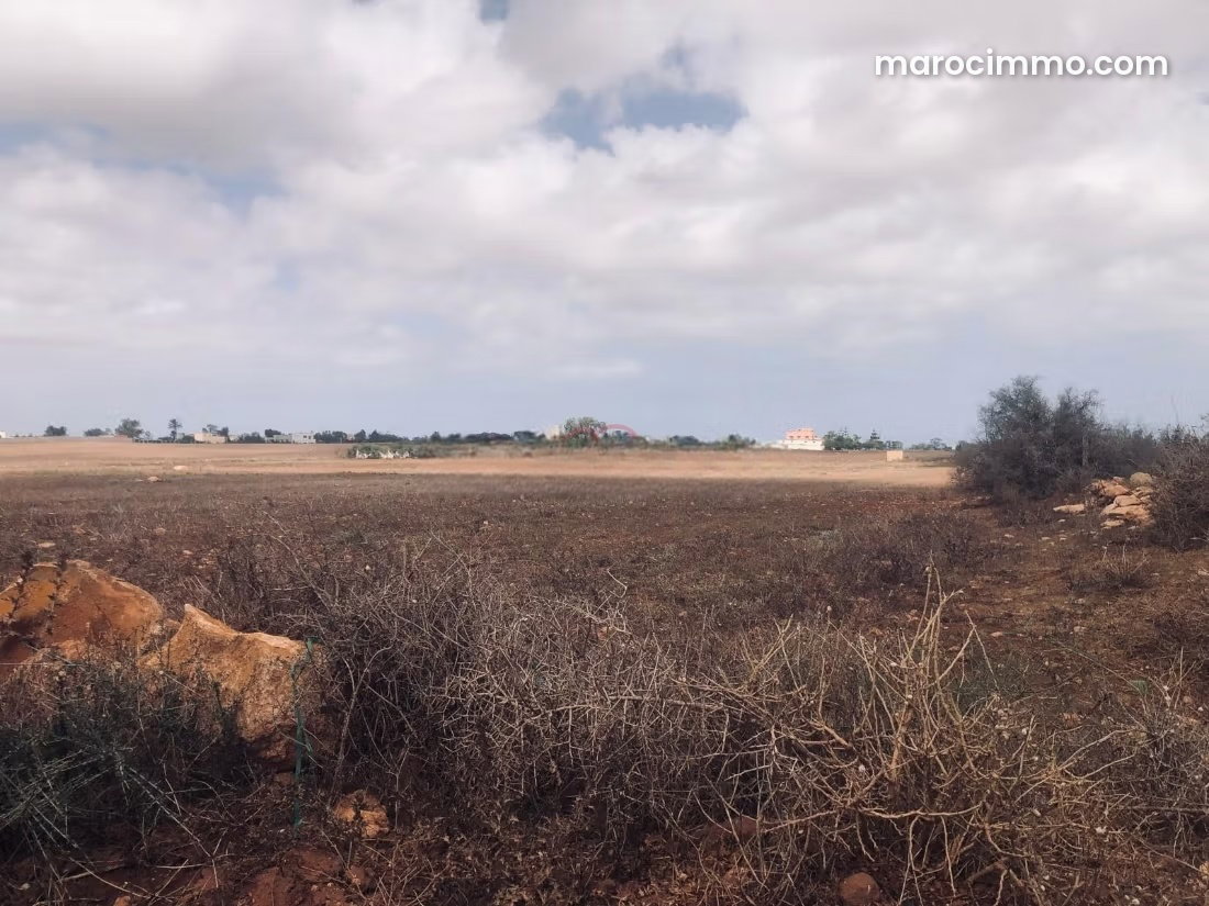 1-hectare agricultural land in Had Soualem, with access to the main road — Had Soualem