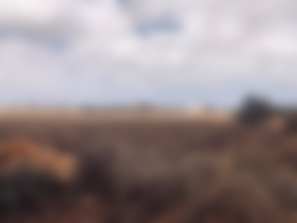 1-hectare agricultural land in Had Soualem, with access to the main road