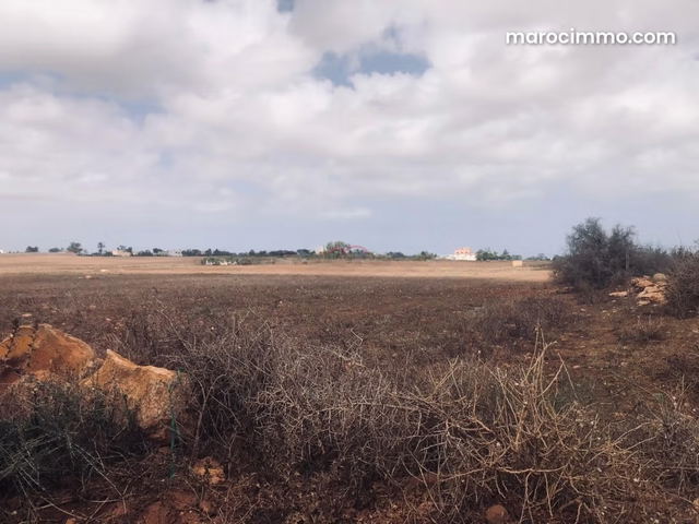 Vente Terrain agricole à Had Soualem — حد السوالم