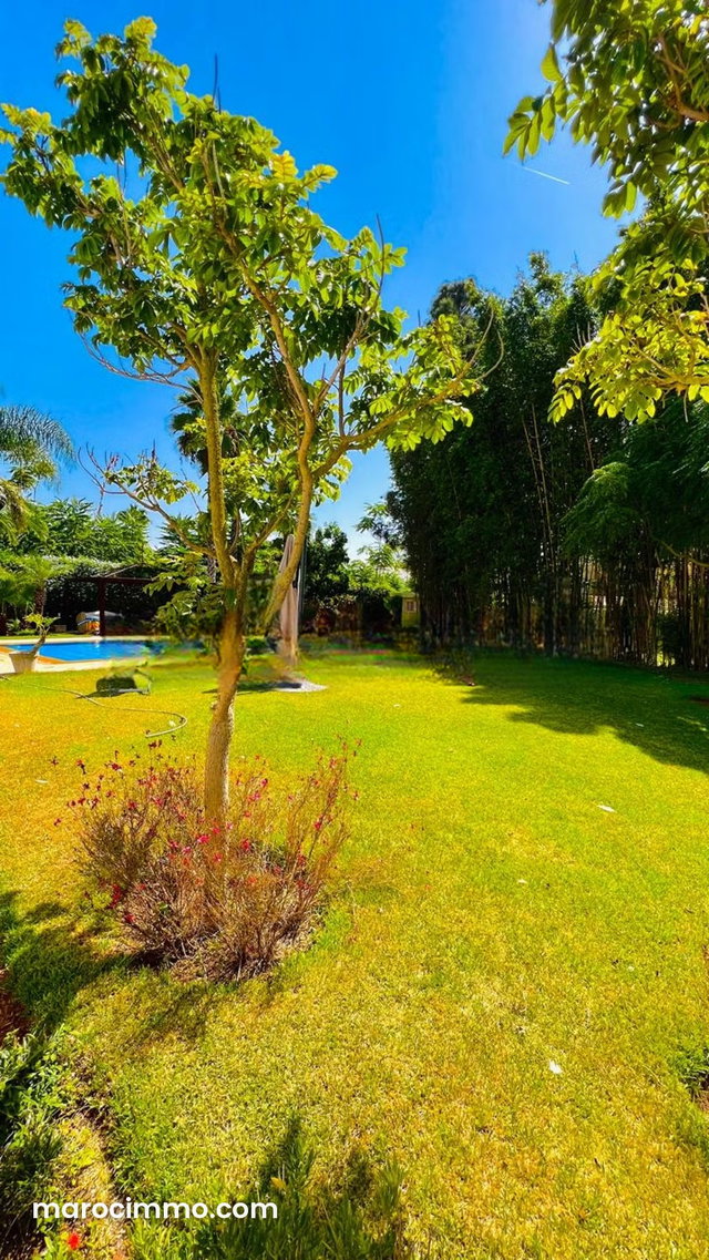 Villa standing a vendre souissi — 3