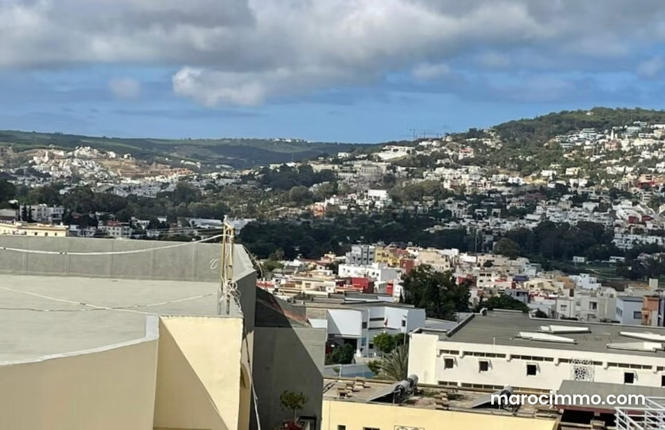 Magnifique duplex neuf avec terrasse a louer quartier iberia surface 340m²