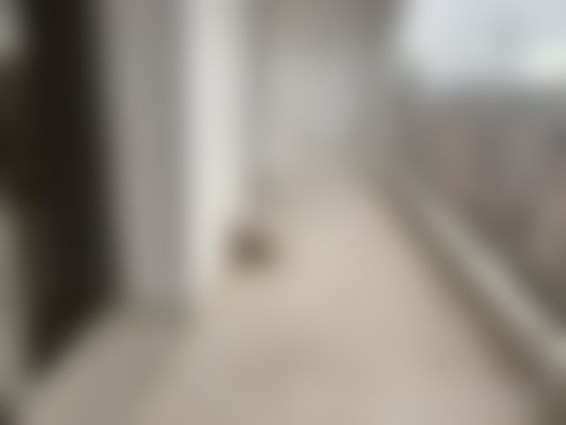 Appartement 216 m² avec terrasse au cœur de Gauthier Casablanca — 3