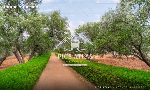 Fully Furnished Guest House with 4 Garden Suites & Hammam for Sale, Sidi Abdellah Ghiat Km 11 — 4