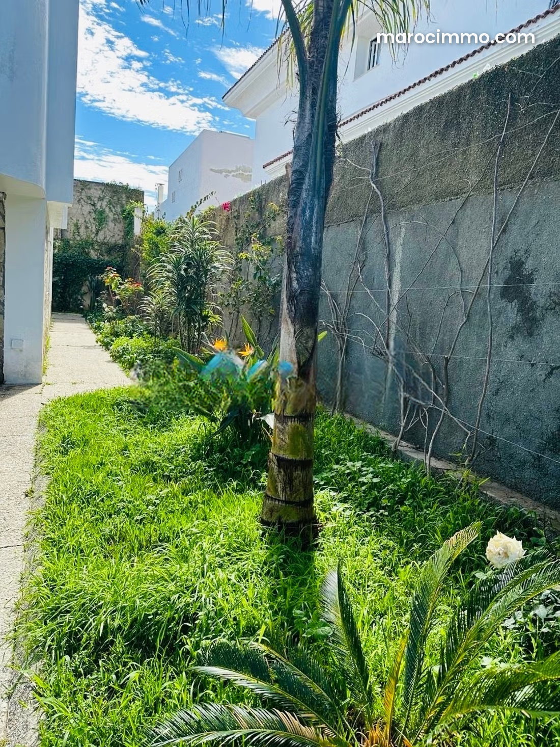 Furnished 1,200 m² Villa with Sea Views, Californie, Tangier, for Rent — Tangier