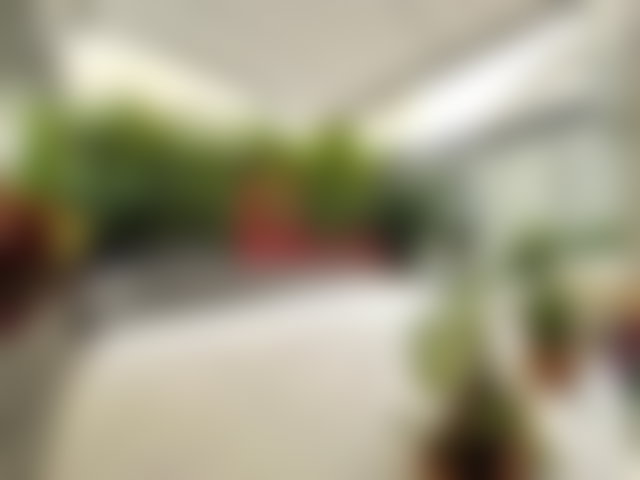 Appartement 187 m² avec jardin privatif, Racine, Casablanca — 4