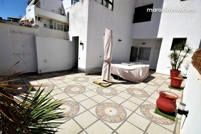 Vend racine luxeux appart double terrasse 300 m² — 2