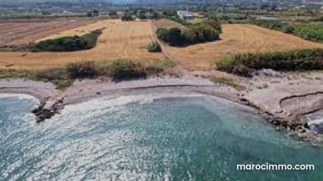 À VENDRE – Terrain de 10 HA RTE AZEMOUR Agricole — سيدي علي بن حمدوش