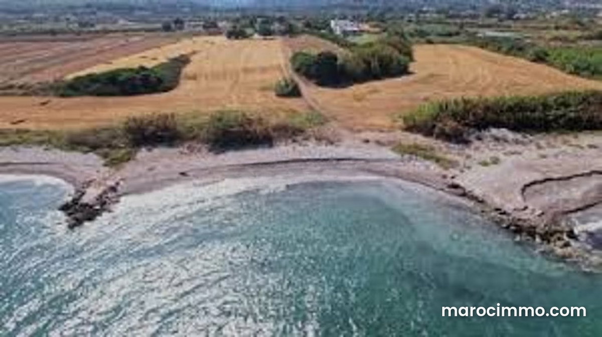 À VENDRE – Terrain de 10 HA RTE AZEMOUR Agricole
