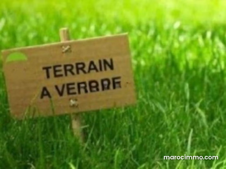 Terrain angle 301 m² pour villa 3 façades à Tanja Balia