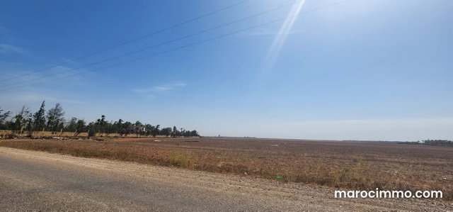 À vendre Terrain agricole de 2 hectares 2633 — 3