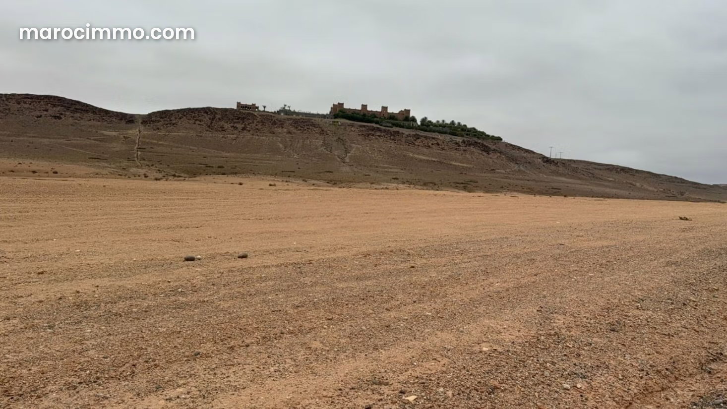 أرض استثمارية واسعة للبيع على طريق أميزميز بمراكش — مراكش