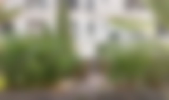 One-bedroom apartment with garden, Bourgogne, Casablanca — 2