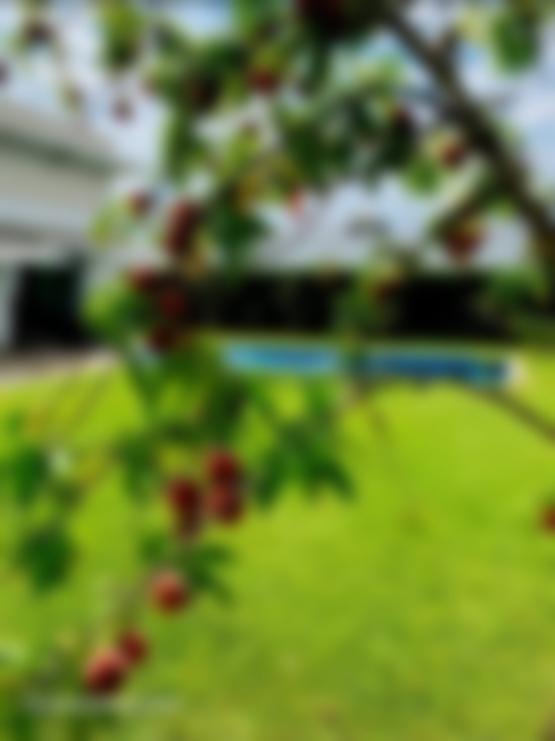 Villa plain, pied 360 m² avec piscine, Bouskoura centre