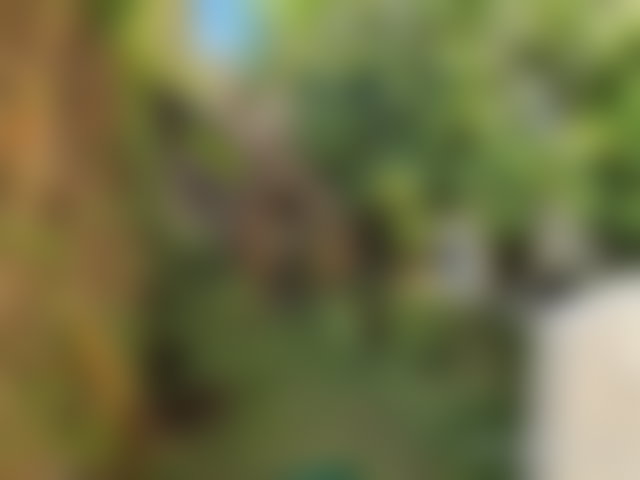 Villa 300 m² haut standing, Quartier Du Soleil, Mohammedia — 3