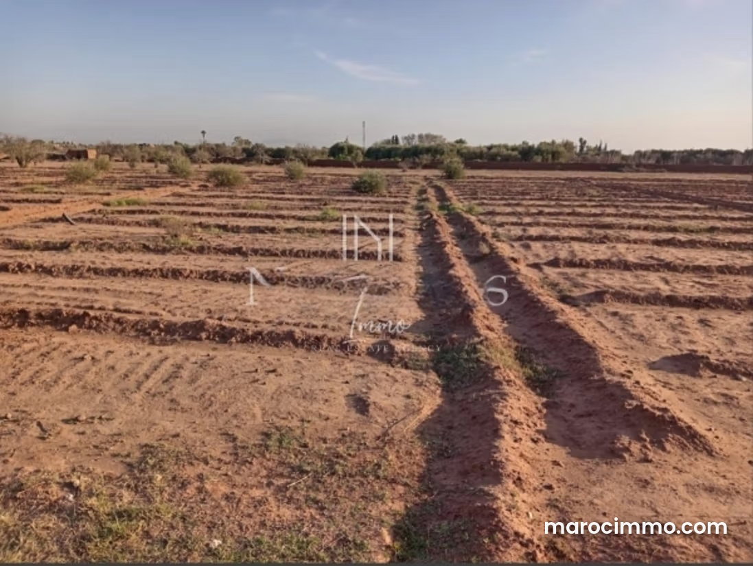 600 m² Buildable Plot in the Heart of Agdal, Marrakech — Marrakesh