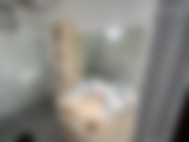 Appartement 220 m², meublé et équipé, Gauthier, Casablanca — 3