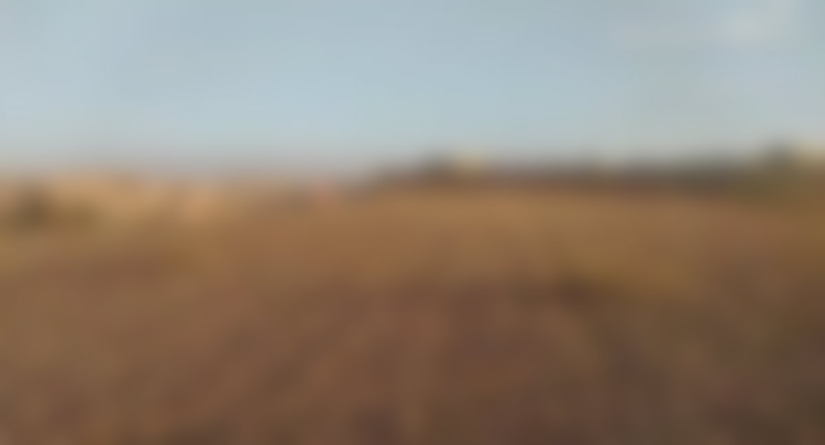 أرض 10 000 م² بإطلالة على الأطلس طريق أميزميز مراكش