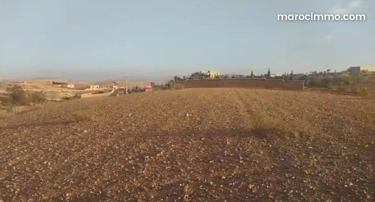 Très bon terrain mlkiya route amezmiz avec bon prix