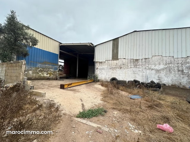 Sale Farm in Had Soualem – 3 with Hangars — 5