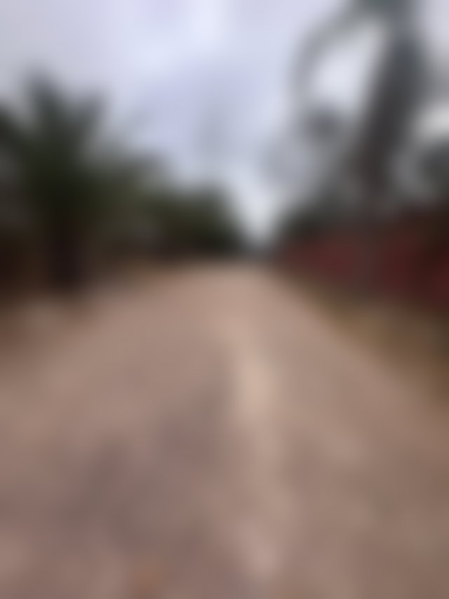 مزرعة واسعة بثلاثة هكتارات للبيع في حد السوالم — 2