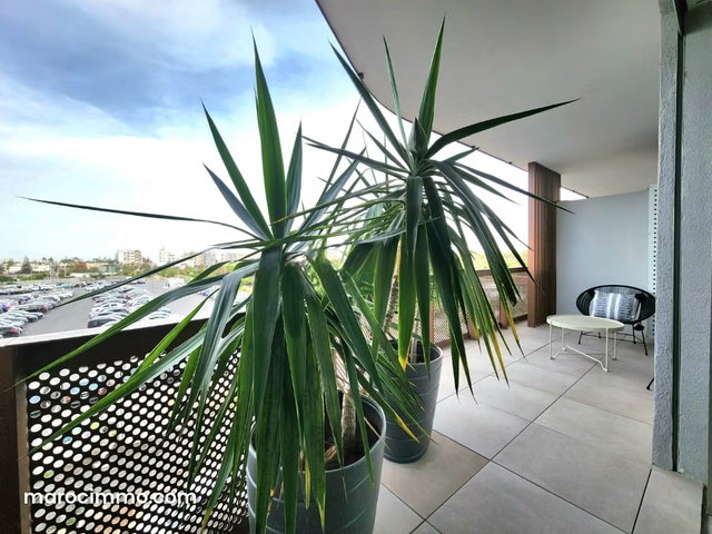Studio meuble avec terrasse cfc ensoleillée — 3