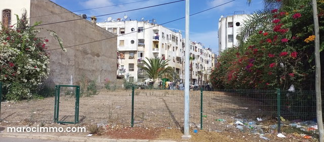 Vente Terrain nu à hay hassani — 2