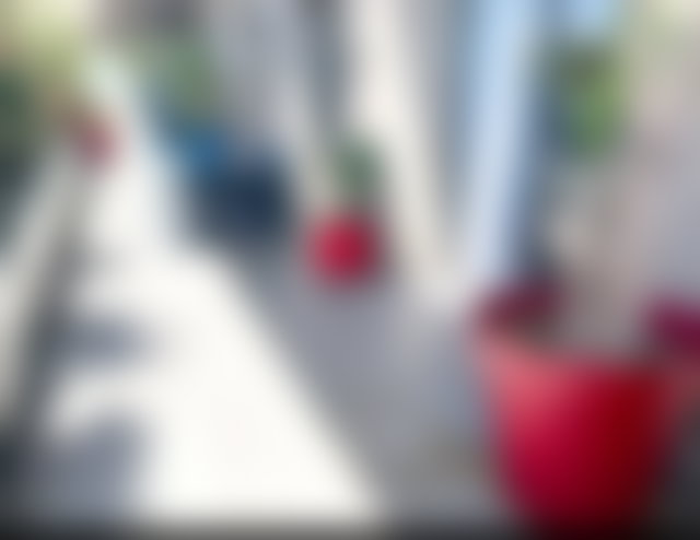 180 m² Apartment with Terrace for Rent in Gauthier, Casablanca — 2