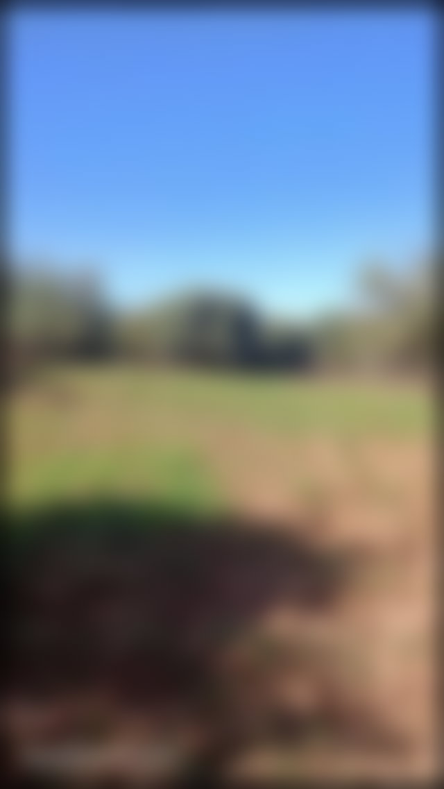 Terrain 4 hectares avec vue Atlas, Route d'Ourika, Marrakech — 2