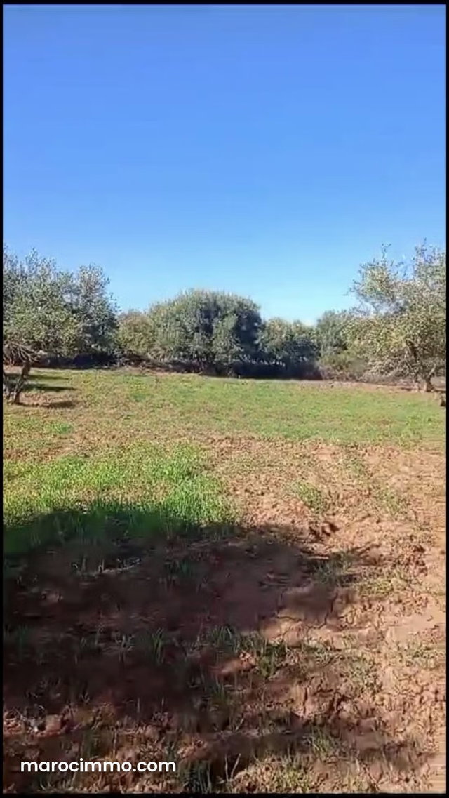 Terrain 4 ha titré à vendre Rte Ourika — 2