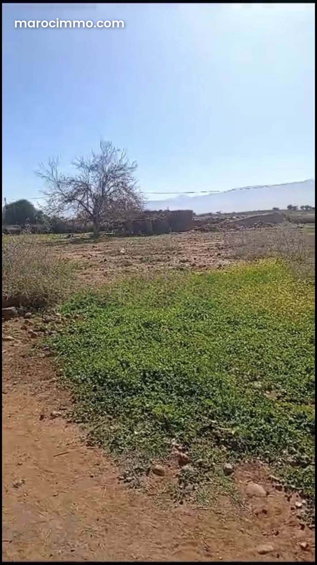4-Hectare Plot with Atlas Mountain Views, Ourika Road, Marrakech — Marrakesh